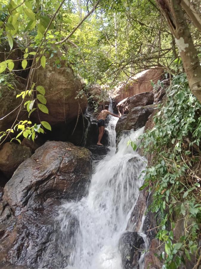 Jungle Village Homestay Pinnawala  Exterior photo